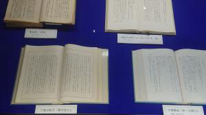 蒲郡を舞台にした作品 2