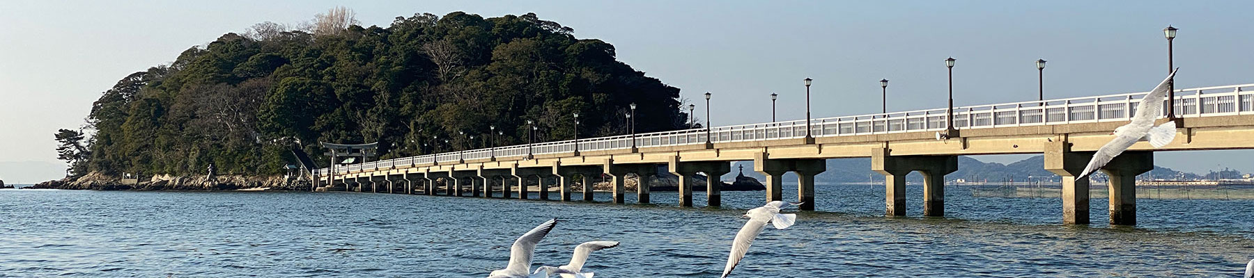 竹島景観